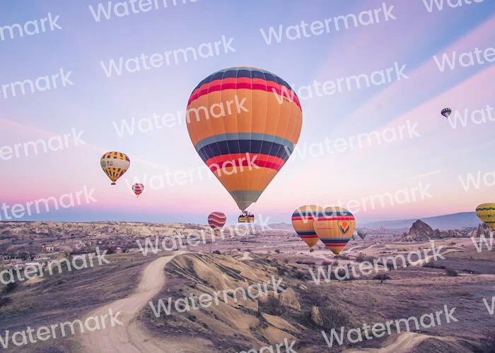 image watermark remover before image 02